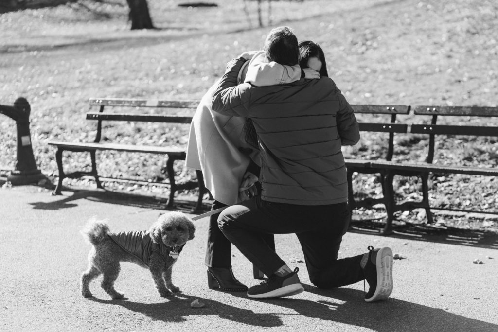 A couple hugging by a park bench while holding their dog on a leash in central park. Man is down on one knee proposing to his partner. 