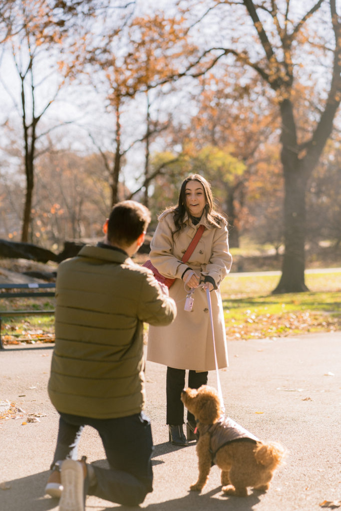 A woman reacting to being proposed to in a park. 